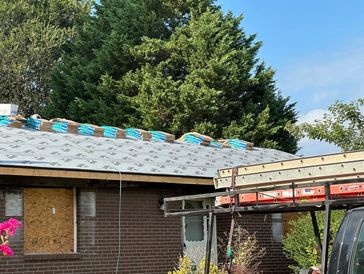 Roofing & Plumbing