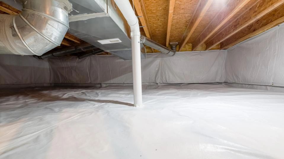 Water Mitigation